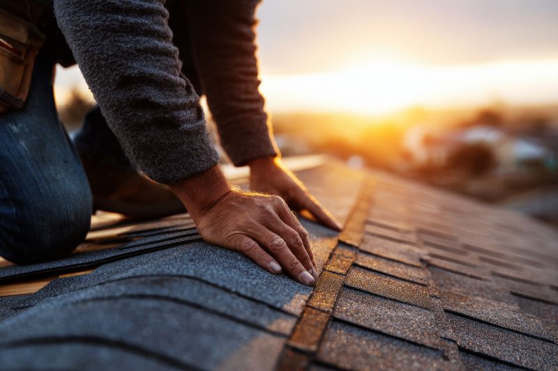 Skilled Roof Technicians